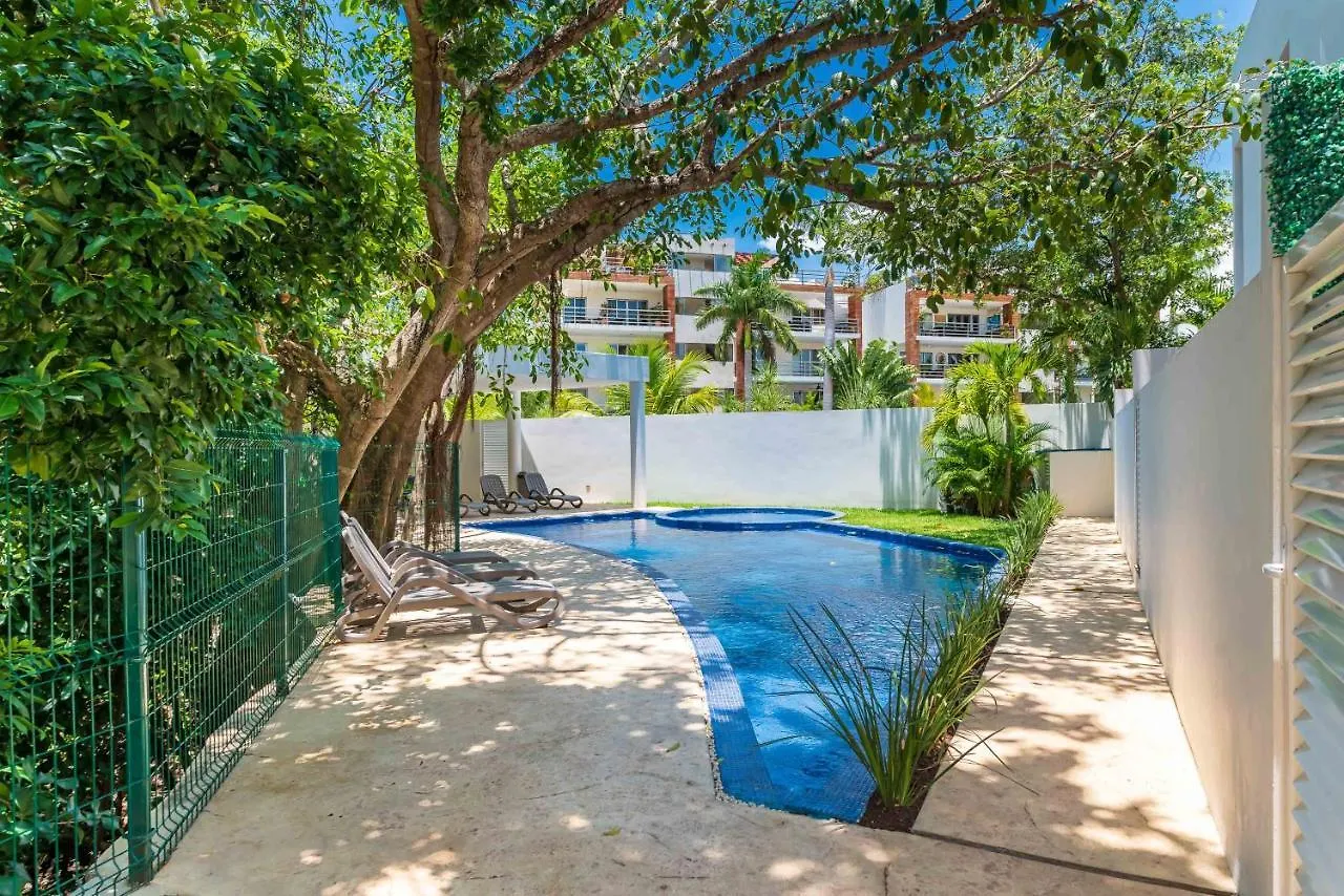 Σπίτι διακοπών Entire House- 3Br With Private Roof Top Deck Πλάγια Ντελ Κάρμεν